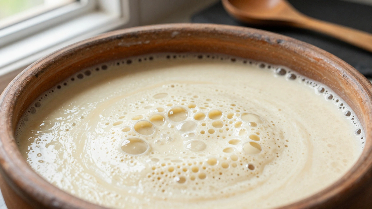 Exact Guide: How Much Baking Soda to Add to Dosa Batter for Perfect Crispiness